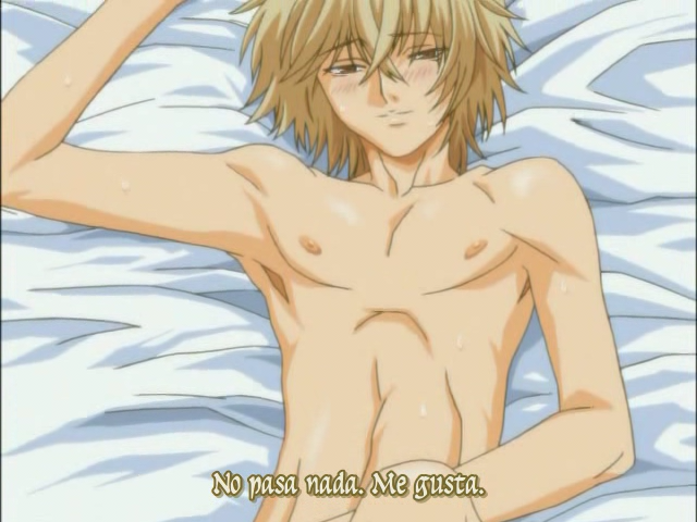 Sensitive Pornograph (AniMugen Fansub, Aarinfantasy)